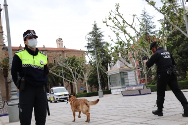 policía local villanueva