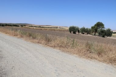 camino Arroyo del Campo