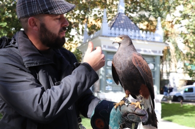 aguila